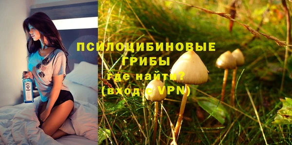 скорость Белокуриха